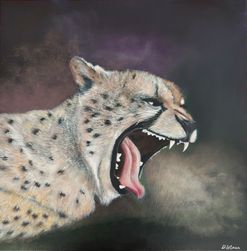 Gepard - 6000 kr.